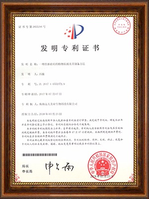 һֿֲԭҺƱZL 2017 1 0552372.9