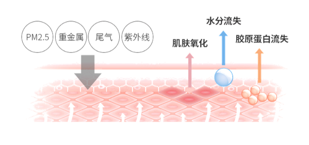 ΢ͼƬ_20220711121137