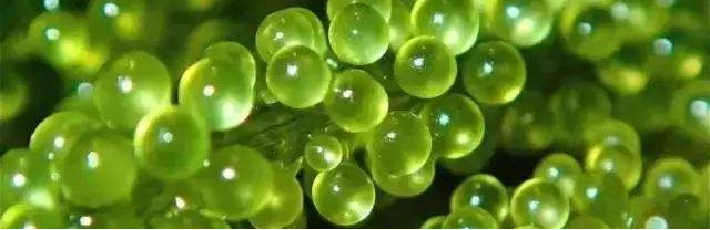 ΢ͼƬ_20220713134526